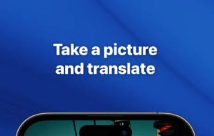 Translate Professional screenshot 1