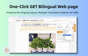 TranslateBase screenshot 3