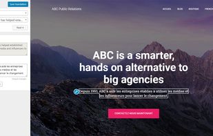 TranslatePress screenshot 1