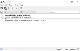 Transmission Windows
