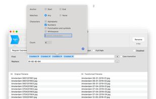 Use Regular Expressions for more complicated renaming actions. This can be done using a dialog system or by directly typing the regular expression.