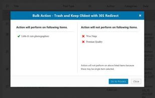 Trash Duplicate and 301 Redirect PRO screenshot 2