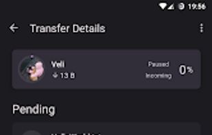 Traversal Share Files Offline screenshot 3