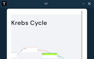 Visual map occlusion flashcards