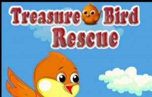 Treasure Birds Rescue screenshot 1