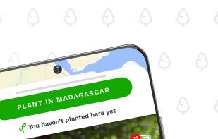 Treeapp: Plant Trees Every Day screenshot 2