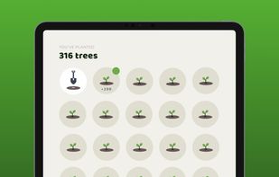 316 trees; turn your footsteps into forests