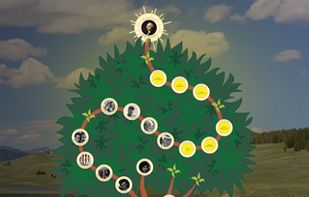 Treemily screenshot 1