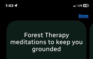 Treequility screenshot 1