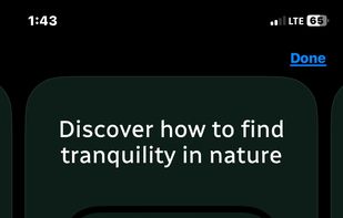 Treequility screenshot 1