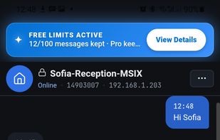 TreeTalk Node Smartphone version - Private chat with sent /received files previews and voice messages