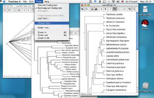 TreeView X screenshot 1