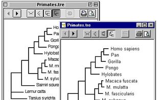 TreeView screenshot 1