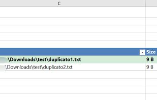 Duplicate finder