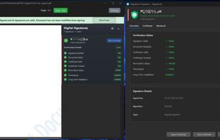 Full info about signature verification