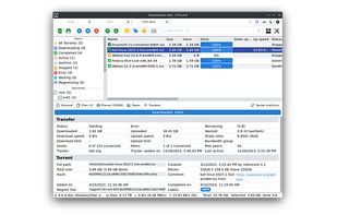 TrguiNG screenshot 1