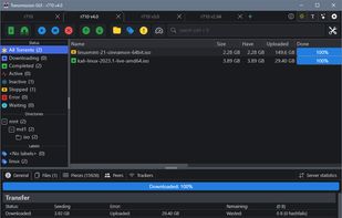 TrguiNG screenshot 1
