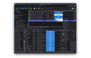 TrguiNG screenshot 3