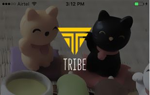 Tribe For Family screenshot 1