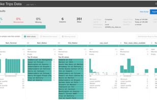 Trifacta screenshot 2