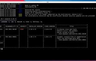 Demo: Vulnerability detection