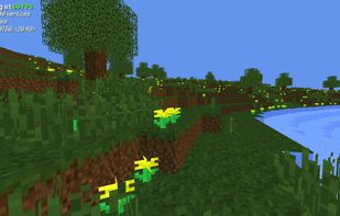 TrueCraft screenshot 3