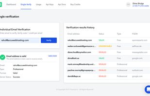 Single email verification