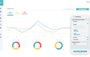 Get an overview of useful data TRUENDO lawfully collects on your website visitors with Insights.