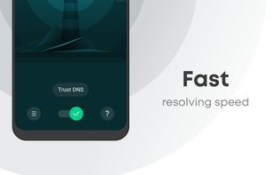 Trust DNS screenshot 2