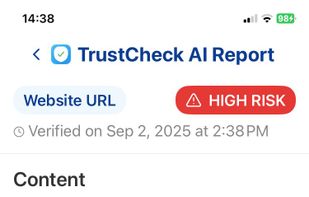 Web Link Analysis Report 2025