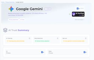 AI Privacy Software Analysis