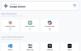 Safer AI Privacy Alternatives 