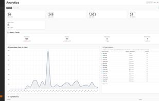 Built-in privacy-first analytics with page views, weekly trends, a 30-day traffic chart, and real-time anonymous visitors — no tracking scripts or cookies.
