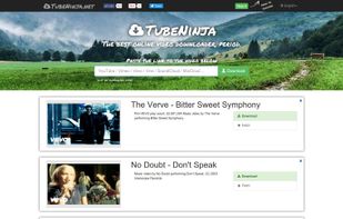 TubeNinja screenshot 1