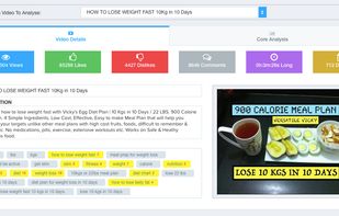 TubeResearcher screenshot 1