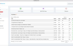TubeResearcher screenshot 2