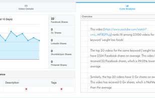 TubeResearcher screenshot 1