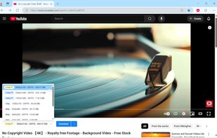 Tubly Downloader screenshot 2