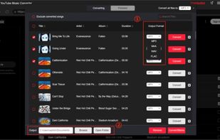 TunesFun YouTube Music Converter screenshot 1