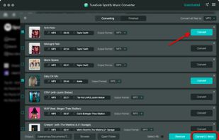 Convert and Download Spotify Music