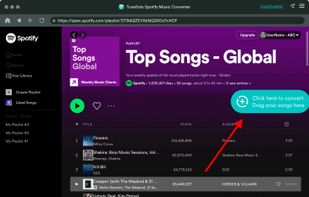 Select Spotify Songs to Convert