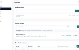Tunnel configuration: reserved names, custom domains, authenticated tunnels