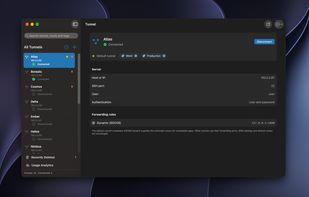 Main window with multiple SSH tunnels, connection status, tags, and forwarding rules.