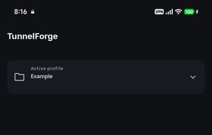 Main page showing successful connection and positive connectivity check