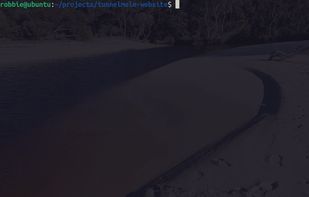 Tunnelmole screenshot 1