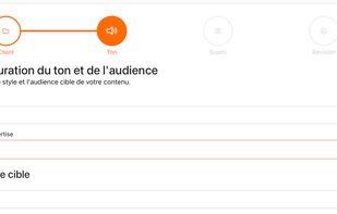 Create optimized SEo articles and publish them on your website