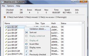 TurboSFV screenshot 3
