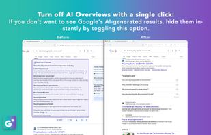 Turn Off AI Overview screenshot 1