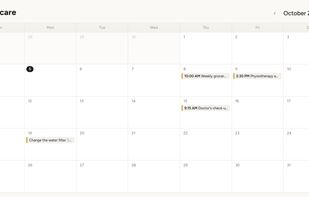 The built-in month view of the group's shared calendar.