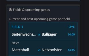 Mobile view of a public tournament showing live matches, upcoming games, field assignments, and tournament statistics in real time.